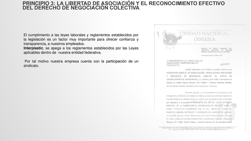 Principio 3: La libertad de asociación y el reconocimiento efectivo del derecho de negociación colectiva;
