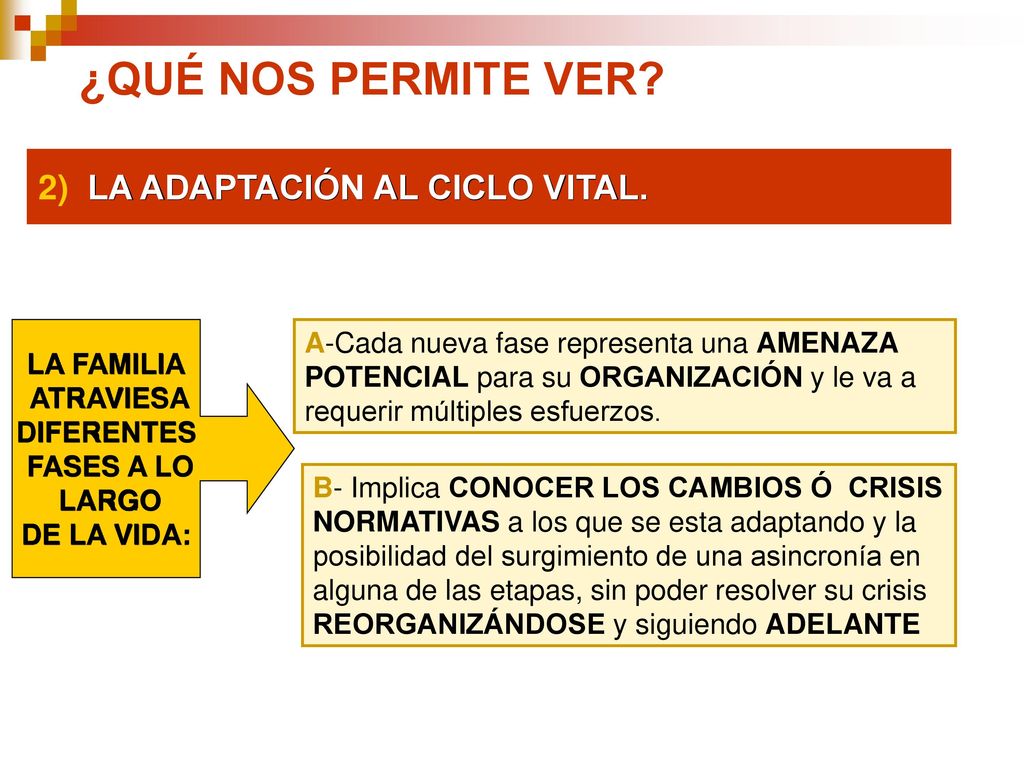 ¿QUÉ NOS PERMITE VER 2) LA ADAPTACIÓN AL CICLO VITAL.