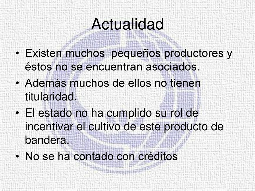 Actualidad Existen muchos pequeños productores y éstos no se encuentran asociados. Además muchos de ellos no tienen titularidad.