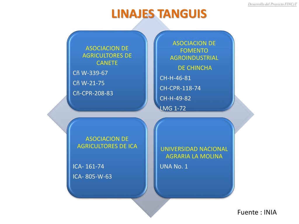 LINAJES TANGUIS Fuente : INIA ASOCIACION DE AGRICULTORES DE CANETE