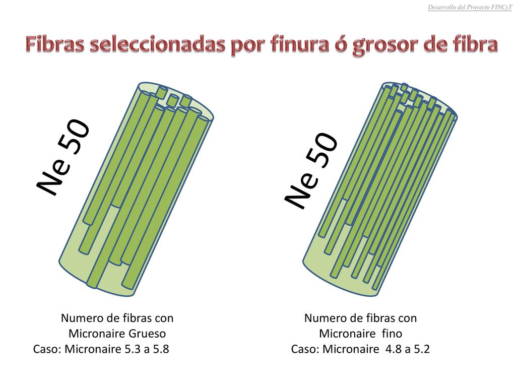 Fibras seleccionadas por finura ó grosor de fibra