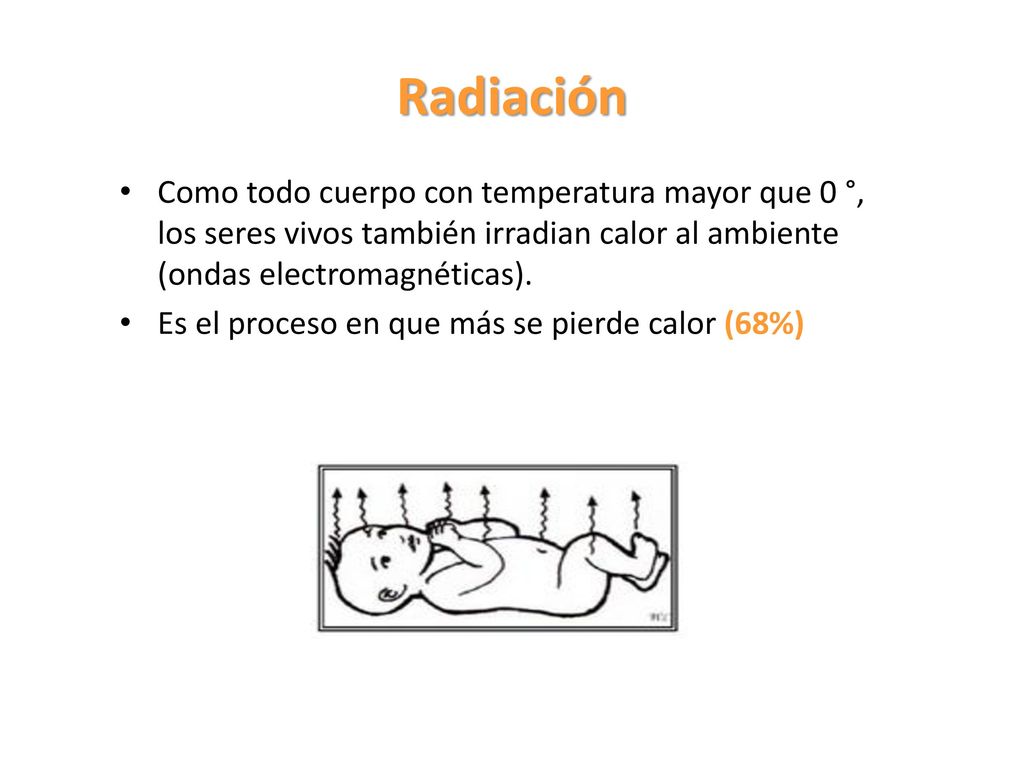 Radiación Como todo cuerpo con temperatura mayor que 0 °, los seres vivos también irradian calor al ambiente (ondas electromagnéticas).