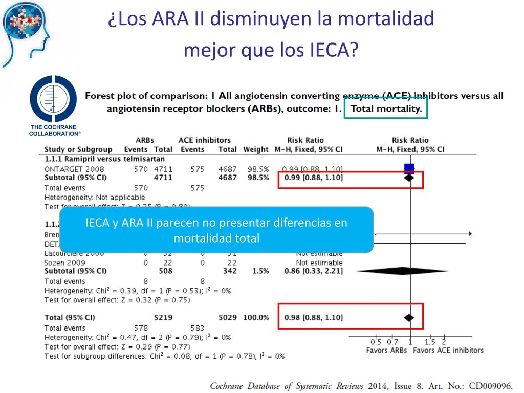 ¿Los ARA II disminuyen la mortalidad mejor que los IECA