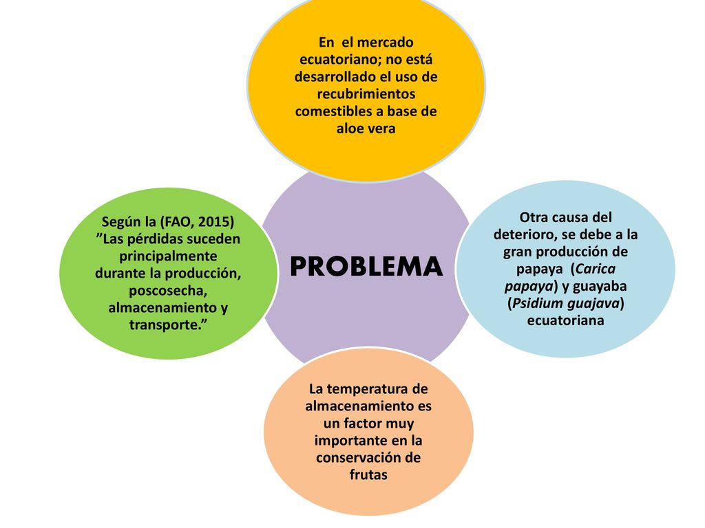 PROBLEMA En el mercado ecuatoriano; no está desarrollado el uso de recubrimientos comestibles a base de aloe vera.