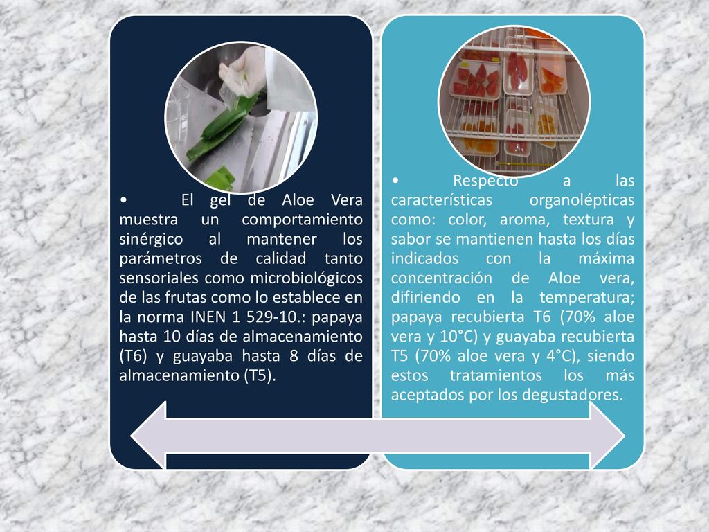 • El gel de Aloe Vera muestra un comportamiento sinérgico al mantener los parámetros de calidad tanto sensoriales como microbiológicos de las frutas como lo establece en la norma INEN : papaya hasta 10 días de almacenamiento (T6) y guayaba hasta 8 días de almacenamiento (T5).