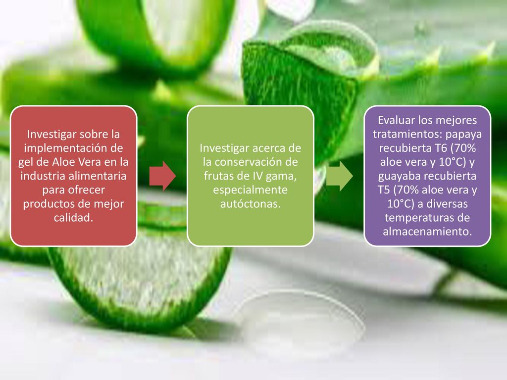 Investigar sobre la implementación de gel de Aloe Vera en la industria alimentaria para ofrecer productos de mejor calidad.