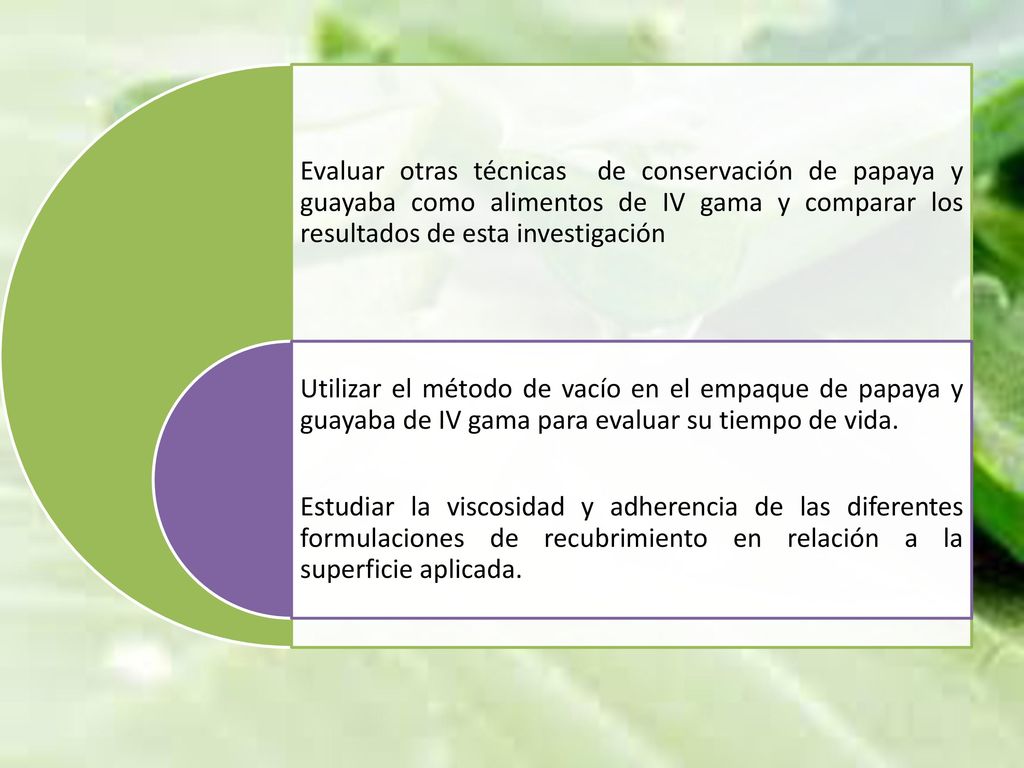 Evaluar otras técnicas de conservación de papaya y guayaba como alimentos de IV gama y comparar los resultados de esta investigación