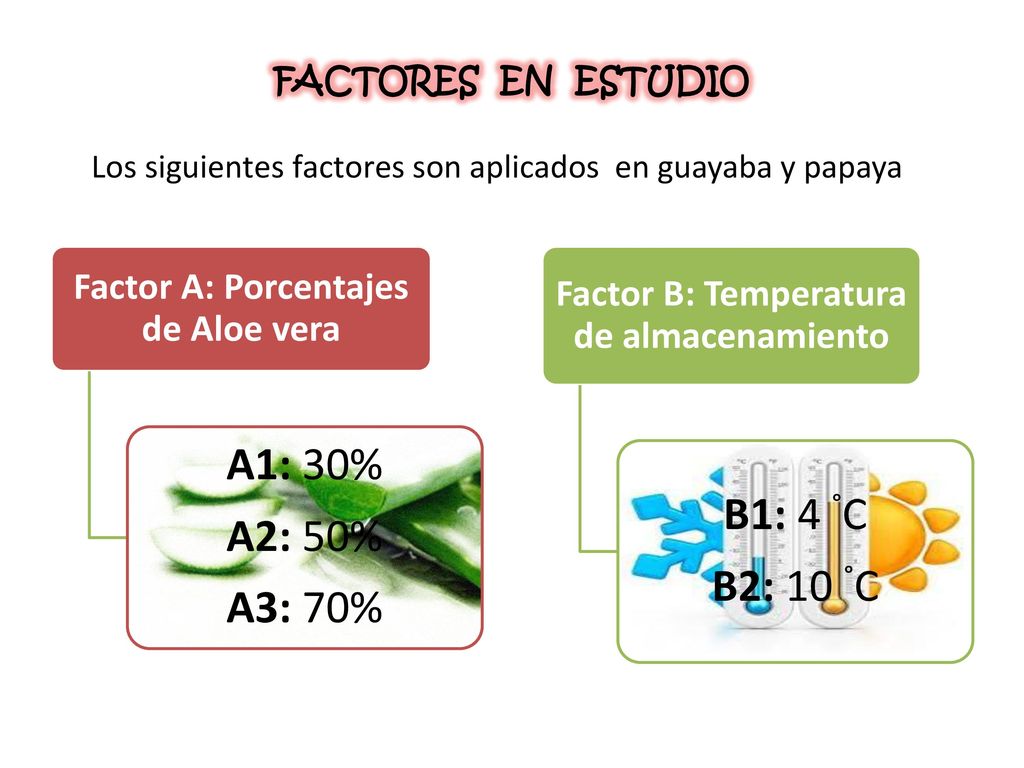 Los siguientes factores son aplicados en guayaba y papaya
