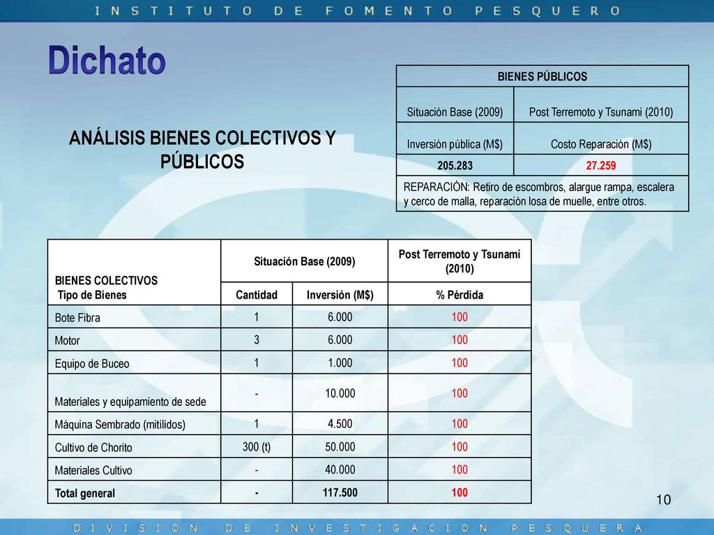 ANÁLISIS BIENES COLECTIVOS Y PÚBLICOS Post Terremoto y Tsunami (2010)