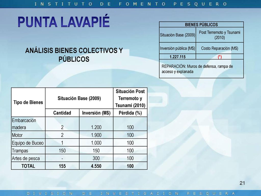 PUNTA LAVAPIÉ ANÁLISIS BIENES COLECTIVOS Y PÚBLICOS Tipo de Bienes