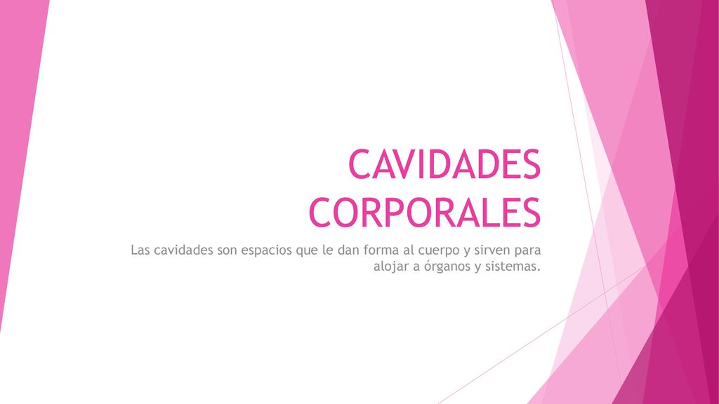 CAVIDADES CORPORALES Las cavidades son espacios que le dan forma al cuerpo y sirven para alojar a órganos y sistemas.