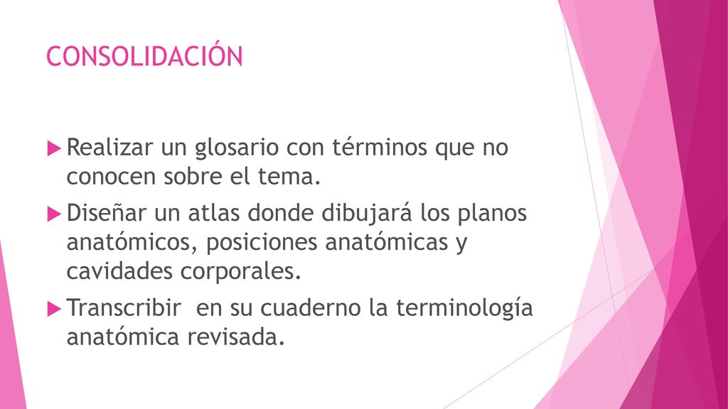 CONSOLIDACIÓN Realizar un glosario con términos que no conocen sobre el tema.