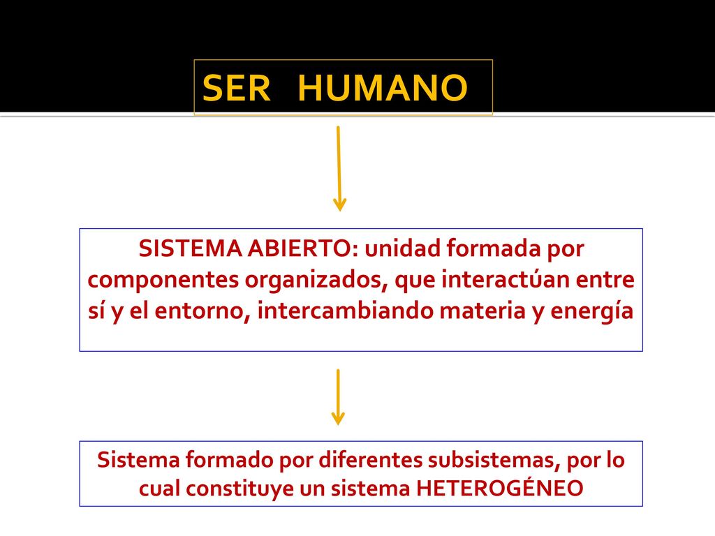 SER HUMANO SISTEMA ABIERTO: unidad formada por componentes organizados, que interactúan entre sí y el entorno, intercambiando materia y energía.