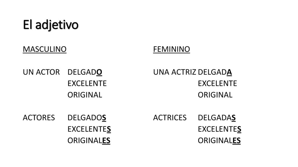 El adjetivo MASCULINO UN ACTOR DELGADO EXCELENTE ORIGINAL ACTORES DELGADOS EXCELENTES ORIGINALES