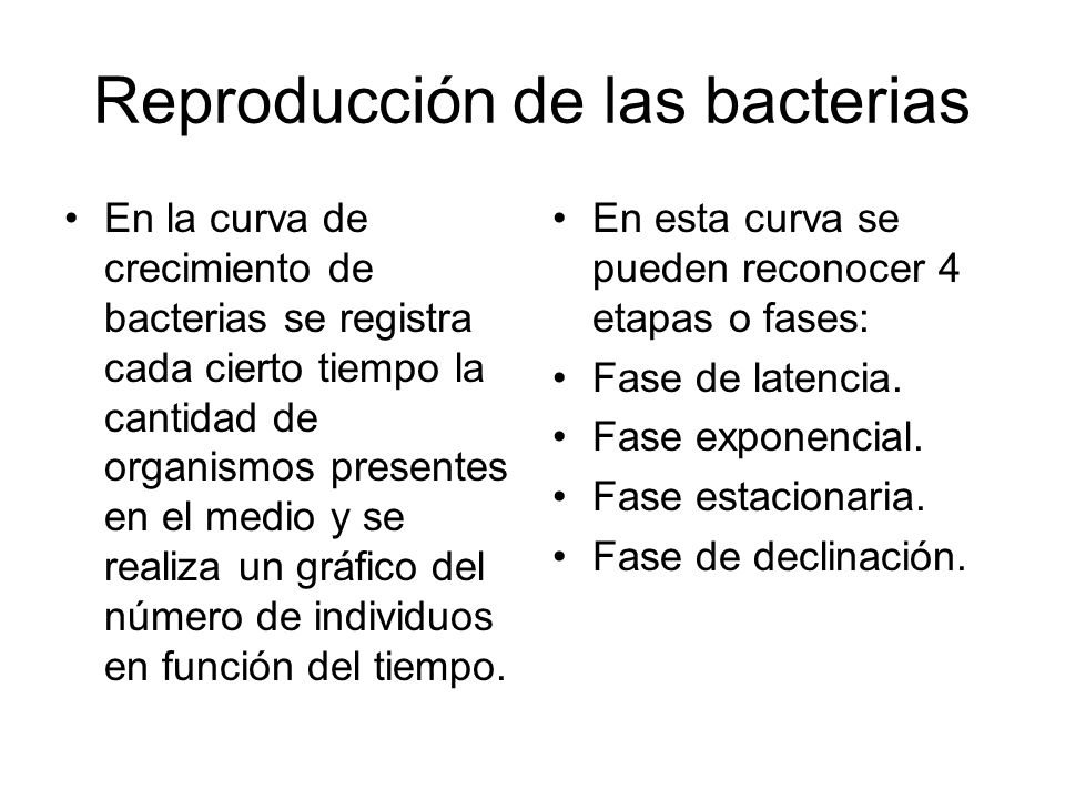 Reproducción de las bacterias