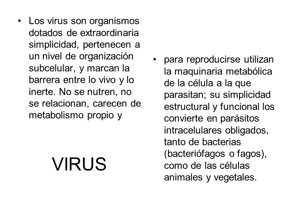 Los virus son organismos dotados de extraordinaria simplicidad, pertenecen a un nivel de organización subcelular, y marcan la barrera entre lo vivo y lo inerte. No se nutren, no se relacionan, carecen de metabolismo propio y