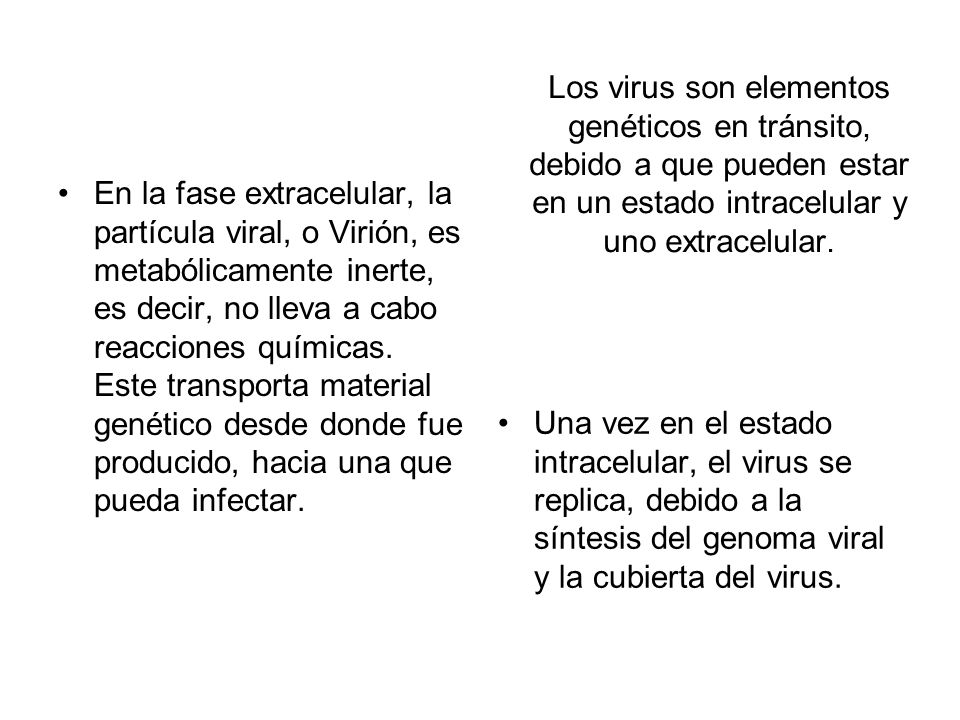 Los virus son elementos genéticos en tránsito, debido a que pueden estar en un estado intracelular y uno extracelular.