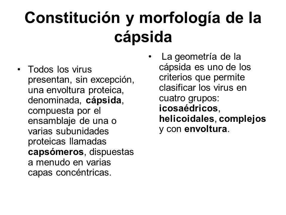 Constitución y morfología de la cápsida