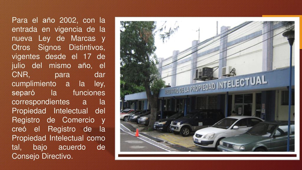 Para el año 2002, con la entrada en vigencia de la nueva Ley de Marcas y Otros Signos Distintivos, vigentes desde el 17 de julio del mismo año, el CNR, para dar cumplimiento a la ley, separó la funciones correspondientes a la Propiedad Intelectual del Registro de Comercio y creó el Registro de la Propiedad Intelectual como tal, bajo acuerdo de Consejo Directivo.