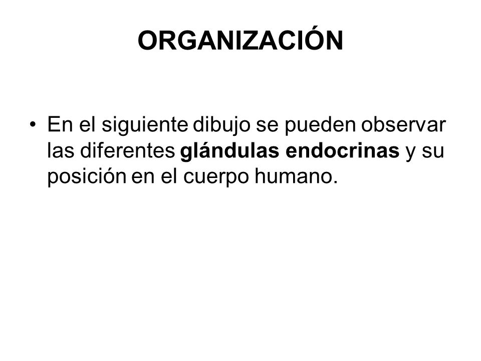 ORGANIZACIÓN En el siguiente dibujo se pueden observar las diferentes glándulas endocrinas y su posición en el cuerpo humano.