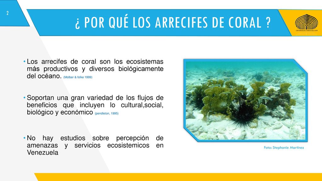 ¿ Por qué los arrecifes de coral