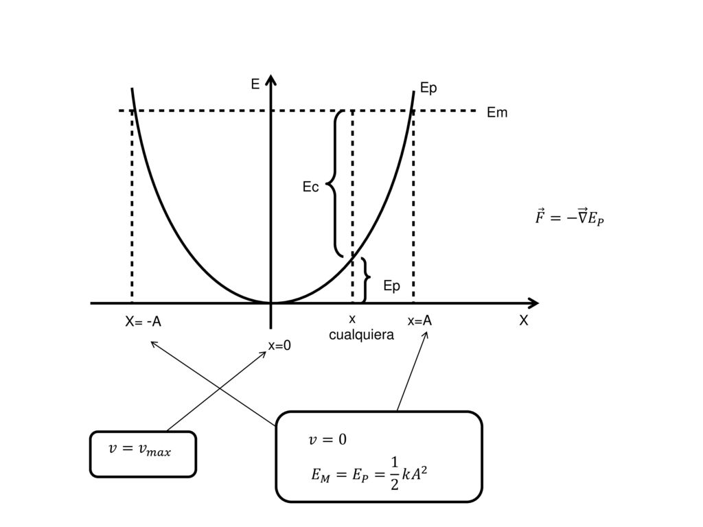 𝐹 =− ∇ 𝐸 𝑃 𝑣=0 𝑣= 𝑣 𝑚𝑎𝑥 𝐸 𝑀 = 𝐸 𝑃 = 1 2 𝑘 𝐴 2 X= -A x=A x=0 cualquiera