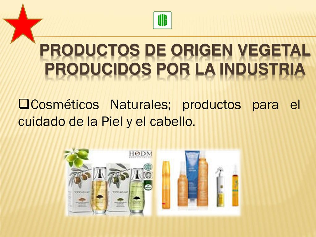 Productos de origen vegetal producidos por la industria