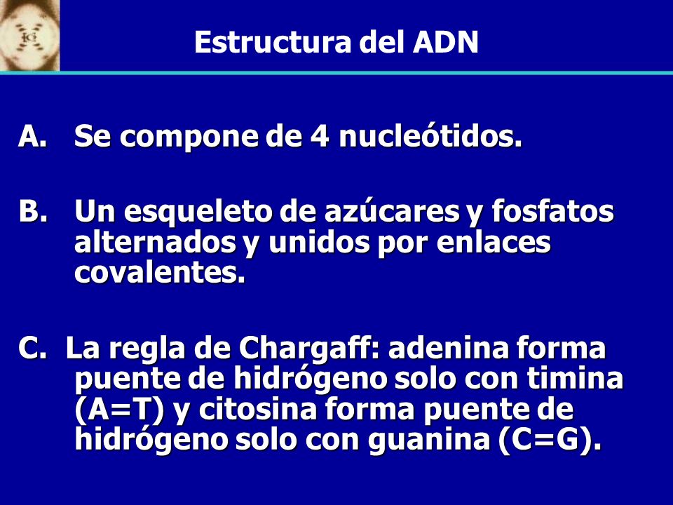 Estructura del ADN Se compone de 4 nucleótidos. Un esqueleto de azúcares y fosfatos alternados y unidos por enlaces covalentes.
