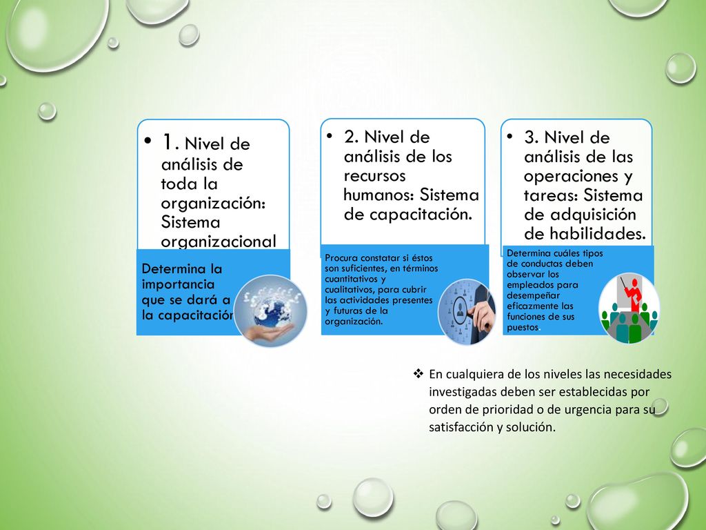 1. Nivel de análisis de toda la organización: Sistema organizacional