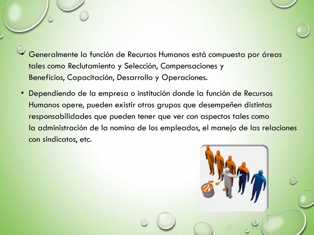 Generalmente la función de Recursos Humanos está compuesta por áreas tales como Reclutamiento y Selección, Compensaciones y Beneficios, Capacitación, Desarrollo y Operaciones.