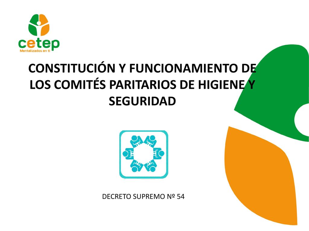 CONSTITUCIÓN Y FUNCIONAMIENTO DE LOS COMITÉS PARITARIOS DE HIGIENE Y SEGURIDAD