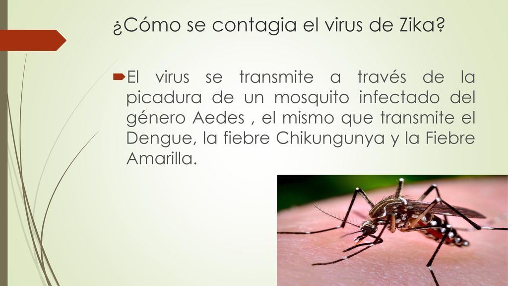 ¿Cómo se contagia el virus de Zika