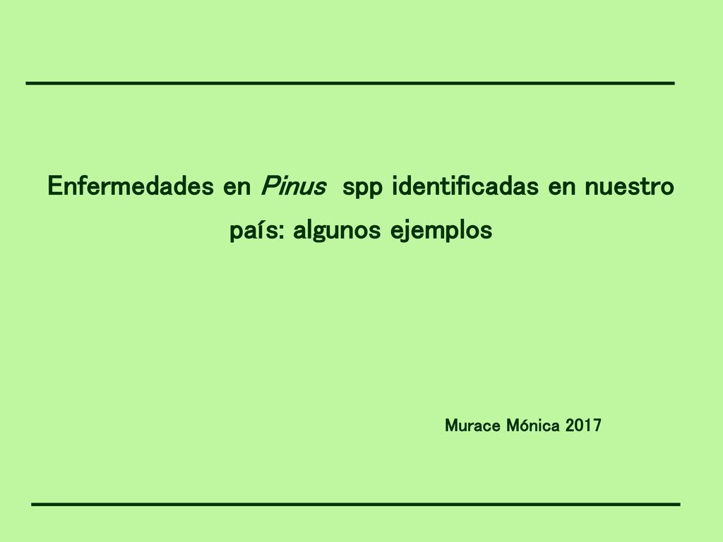 Enfermedades en Pinus spp identificadas en nuestro país: algunos ejemplos Murace Mónica 2017
