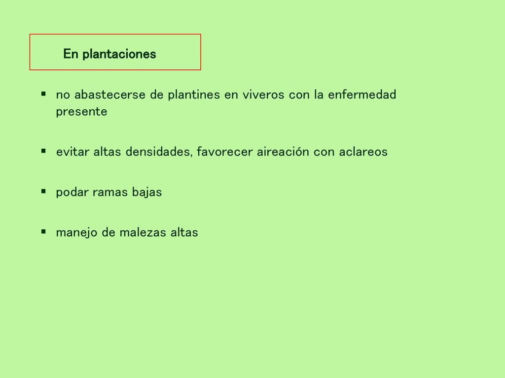En plantaciones no abastecerse de plantines en viveros con la enfermedad presente. evitar altas densidades, favorecer aireación con aclareos.