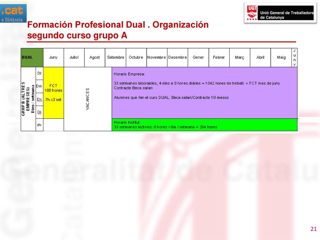 Formación Profesional Dual . Organización segundo curso grupo A