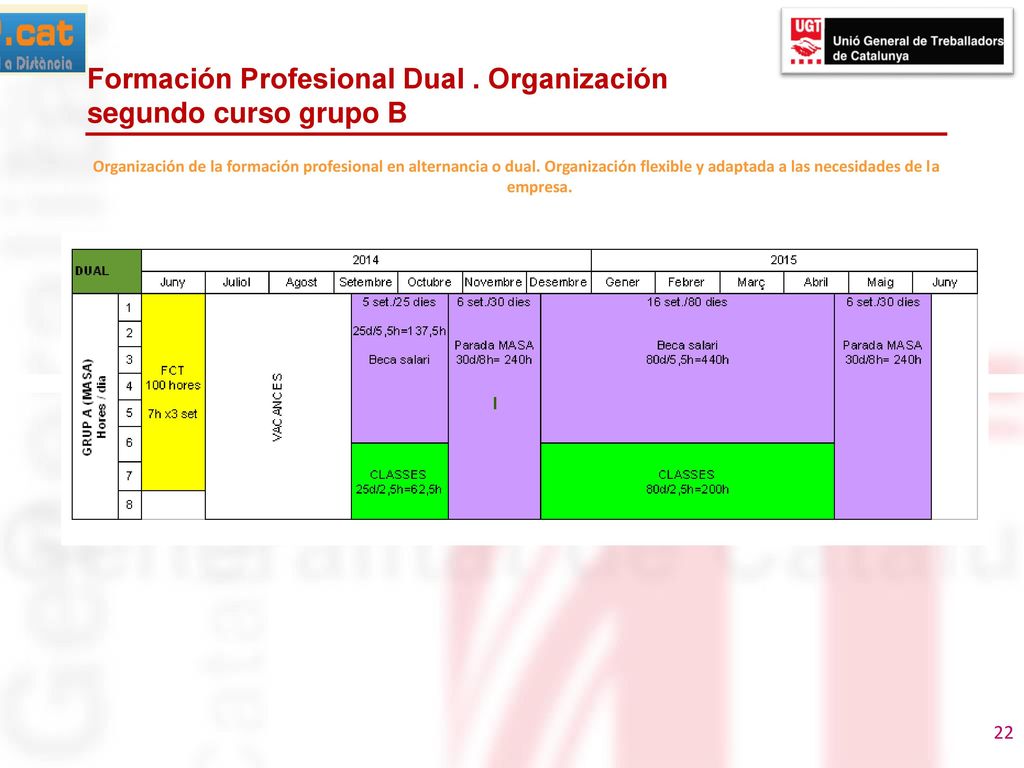Formación Profesional Dual . Organización segundo curso grupo B