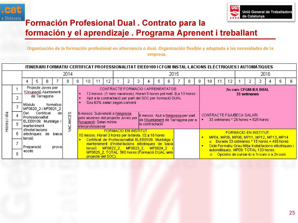 Formación Profesional Dual . Contrato para la formación y el aprendizaje . Programa Aprenent i treballant