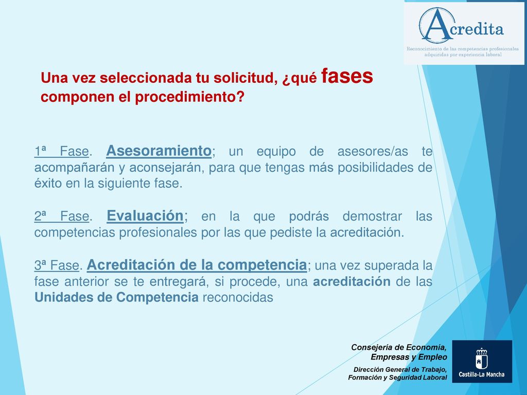 Una vez seleccionada tu solicitud, ¿qué fases componen el procedimiento