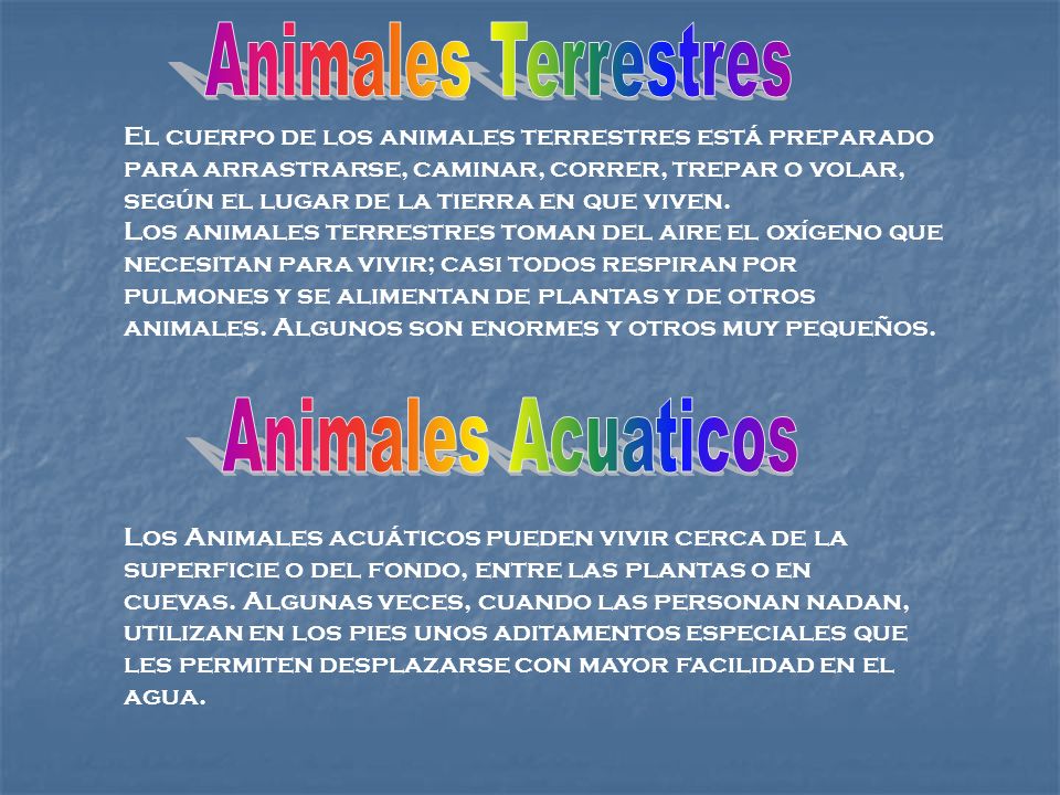 Animales Terrestres Animales Acuaticos
