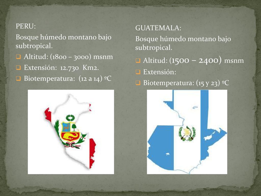 PERU: Bosque húmedo montano bajo subtropical. Altitud: (1800 – 3000) msnm. Extensión: Km2.