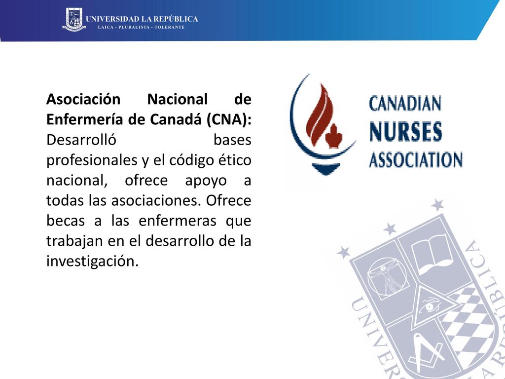 Asociación Nacional de Enfermería de Canadá (CNA): Desarrolló bases profesionales y el código ético nacional, ofrece apoyo a todas las asociaciones.