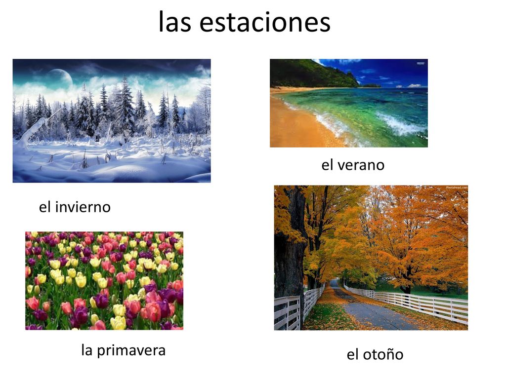 las estaciones el verano el invierno la primavera el otoño