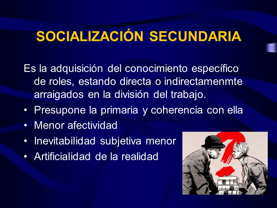 SOCIALIZACIÓN SECUNDARIA