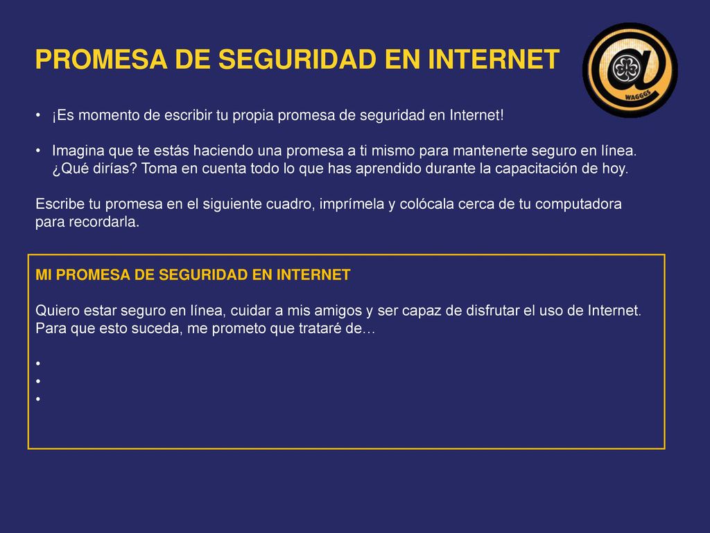 PROMESA DE SEGURIDAD EN INTERNET