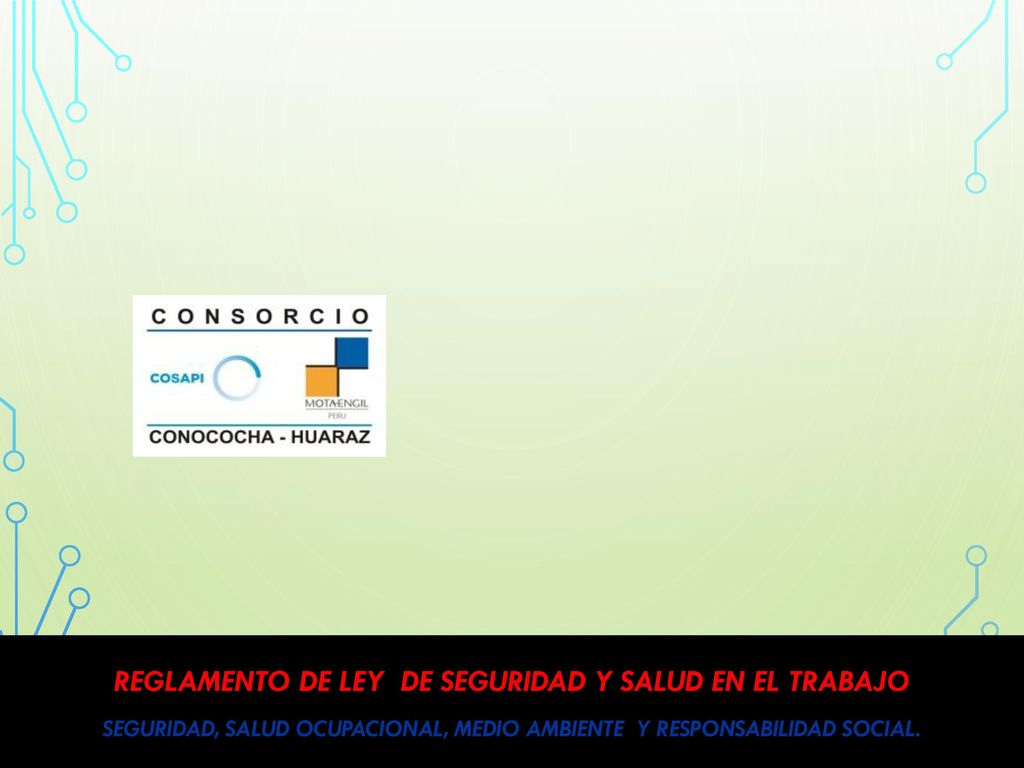 REGLAMENTO DE LEY DE SEGURIDAD Y SALUD EN EL TRABAJO