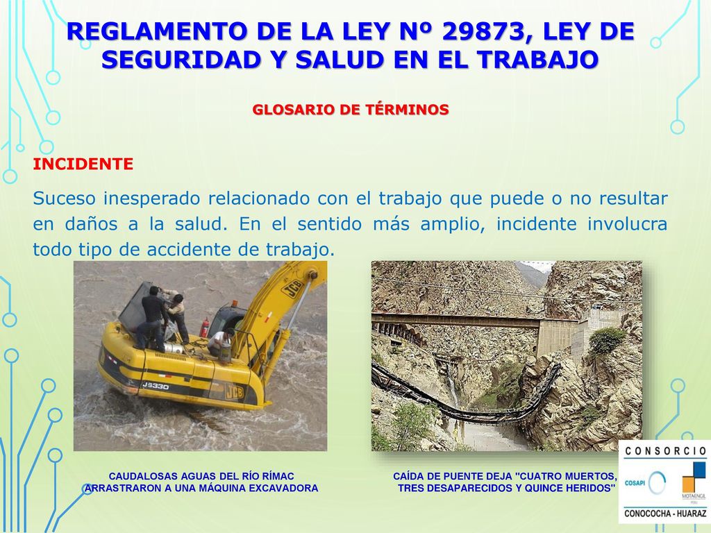 REGLAMENTO DE LA LEY Nº 29873, LEY DE SEGURIDAD Y SALUD EN EL TRABAJO