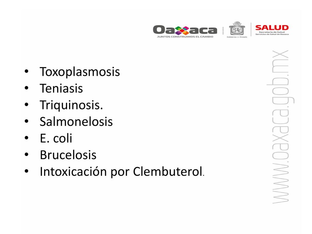 Toxoplasmosis Teniasis Triquinosis. Salmonelosis E. coli Brucelosis Intoxicación por Clembuterol.