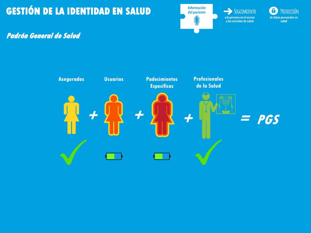+ = PGS GESTIÓN DE LA IDENTIDAD EN SALUD Padrón General de Salud