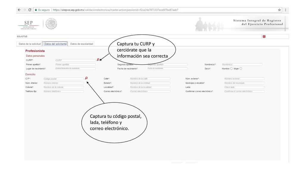 Captura tu CURP y cerciórate que la. información sea correcta. Captura tu código postal, lada, teléfono y.