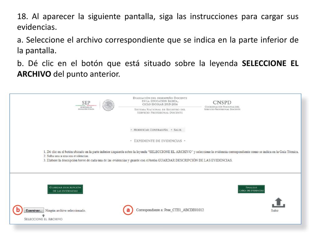 18. Al aparecer la siguiente pantalla, siga las instrucciones para cargar sus evidencias.